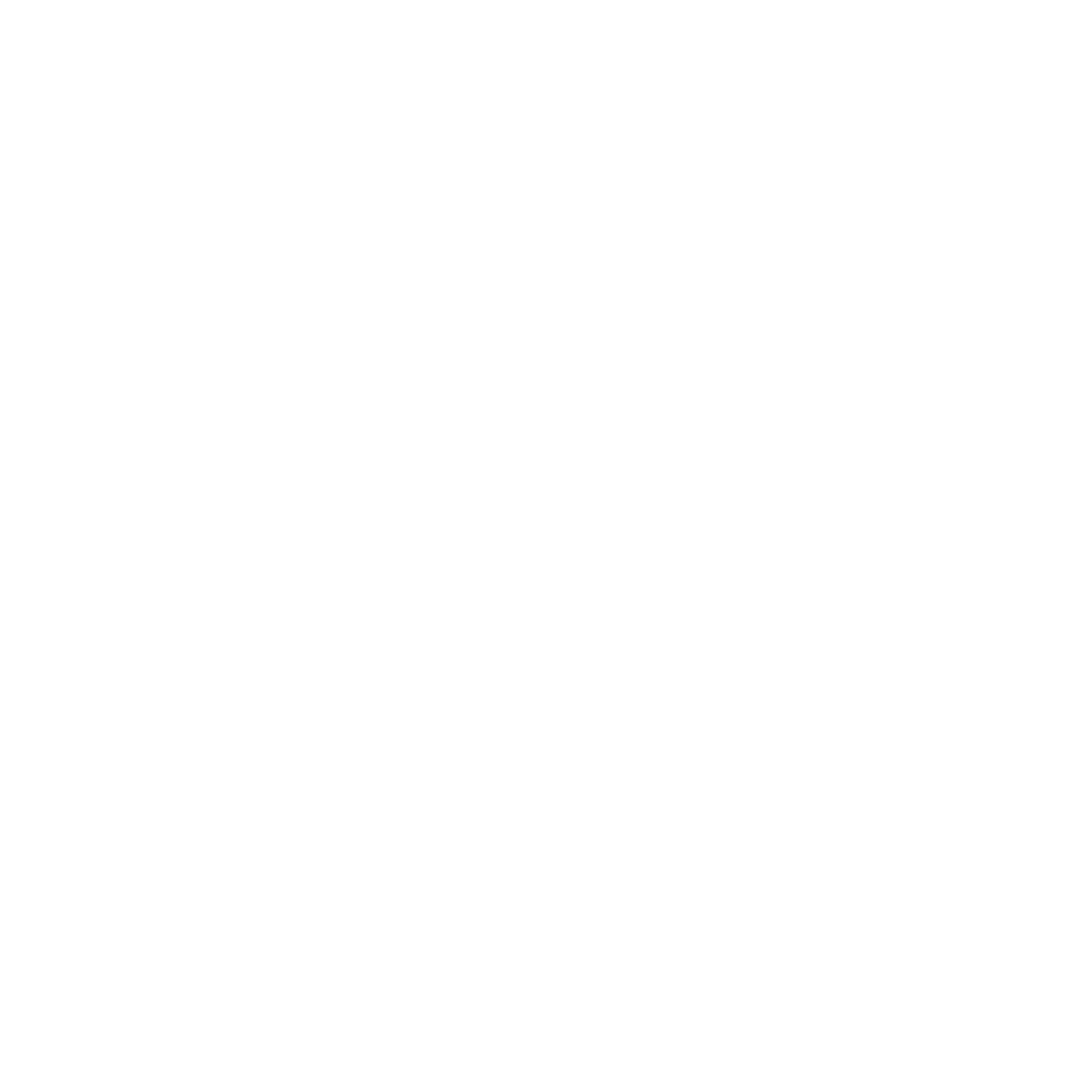 BTL polygon logo white