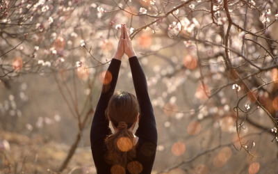 Meditation on Possibility