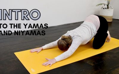 Introduction to the Yamas and Niyamas